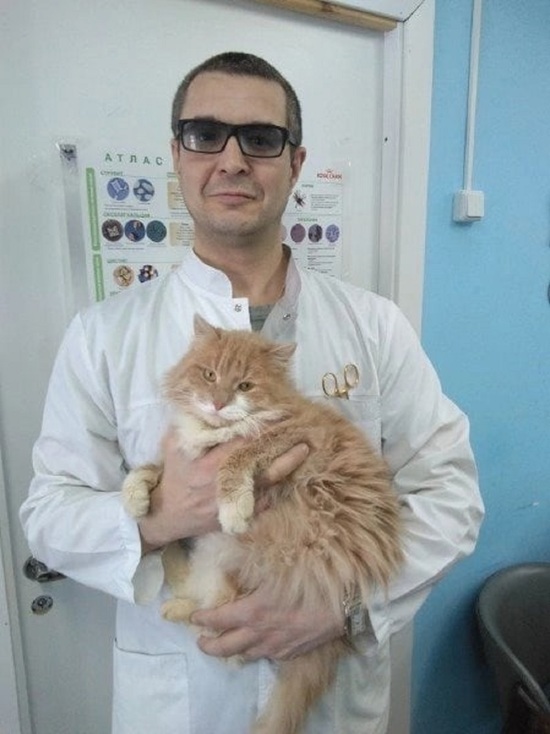 Жители Гаврилов-Яма собирают деньги на лечение любимому ветеринару