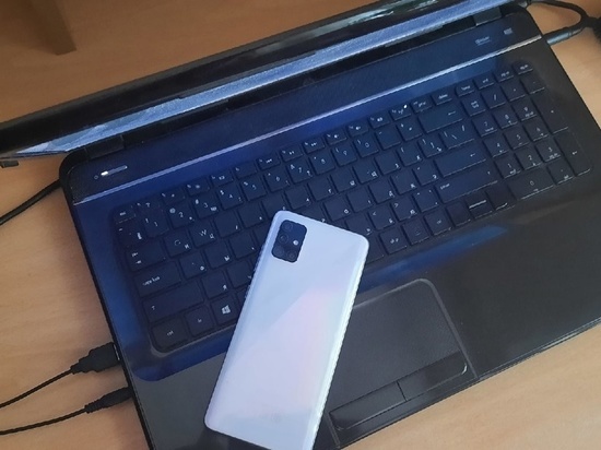Уроженец Омска украл у 20-летней жительницы Сосновского района ноутбук, планшет и два мобильных