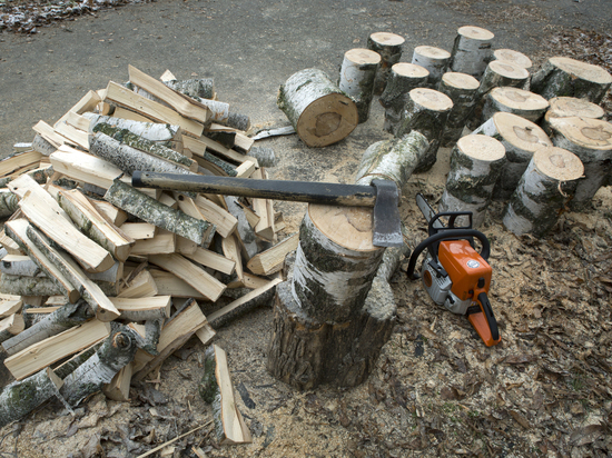 Болгария запретила экспорт древесины