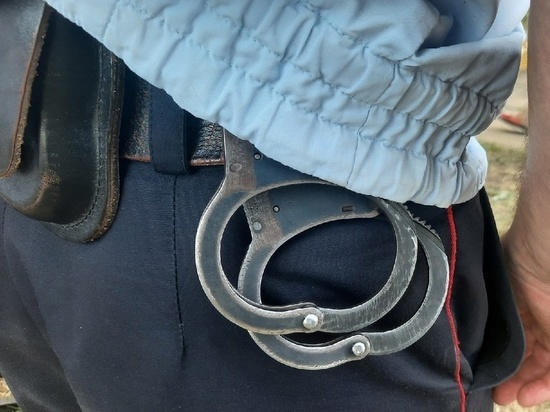 Мичуринца осудили на 6 лет лишения свободы за избиение знакомого до смерти