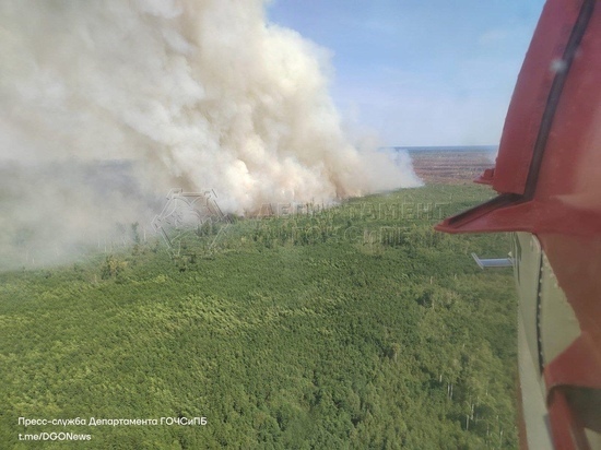 Три вертолёта из Москвы приступили к тушению пожаров в Рязанской области