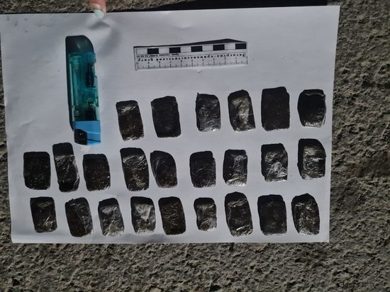 В Туве работника техникума задержали с гашишем