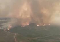 Исполняющий обязанности губернатора Рязанской области Павел Малков сообщил, что бушующий природный пожар в Клепиковском районе удалось сбить до низового