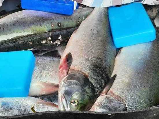 Сахалинские рыбаки ждут хорошего улова