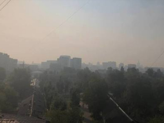 Запах гари в Москве, вызванный пожарами в Рязанской области, может продержаться в ближайшие 36-48 часов, поскольку направление ветра не изменится, заявил ведущий сотрудник центра погоды «Фобос» Евгений Тишковец