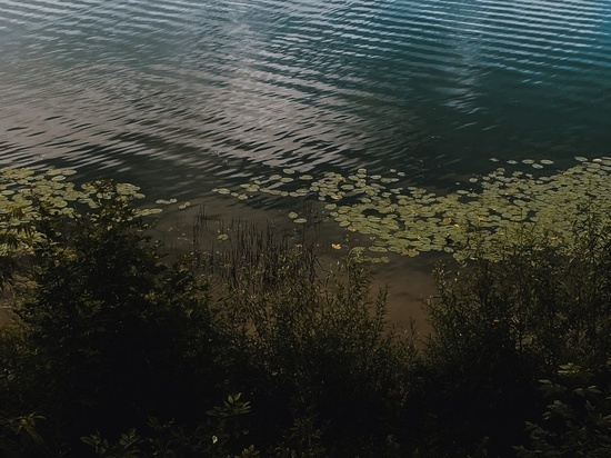 Житель Тверской области утонул в озере на глазах жены