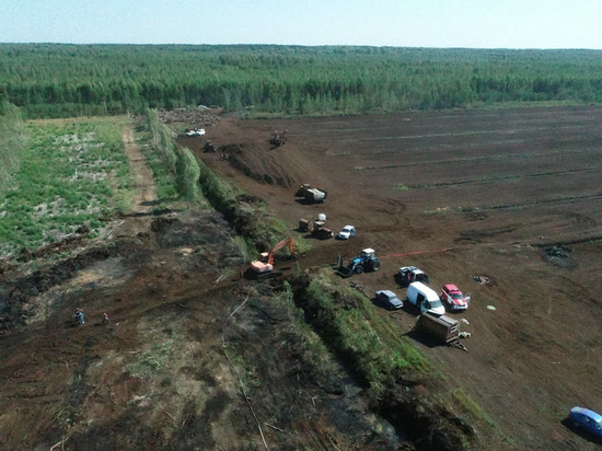 Во Владимирской области горят торфяники