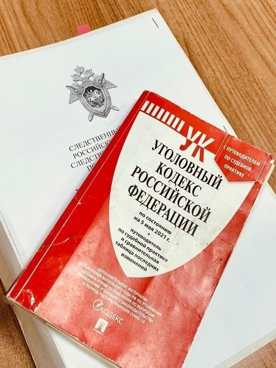 В Курской области  17-летний «Соловей-разбойник» ограбил в лесу женщину