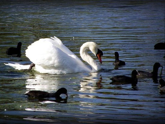 Завершилась совместная научная экспедиция заповедника «Ненецкий» и Дарвинского биосферного заповедника