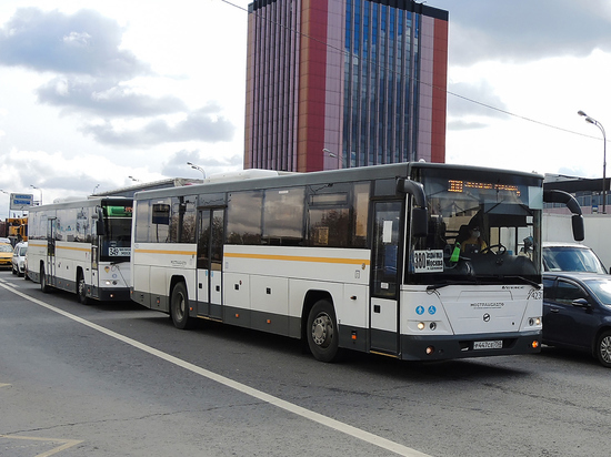 Пять самых популярных автобусных маршрутов этого лета назвали в региональном Минтрансе