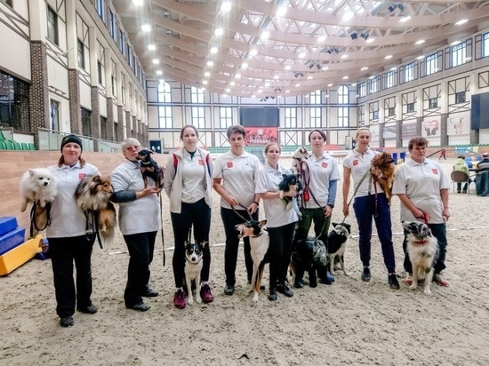 Кубанские спортсмены выступят на чемпионате России по кинологическому спорту