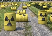 Опубликована карта последствий возможной аварии на Запорожской АЭС