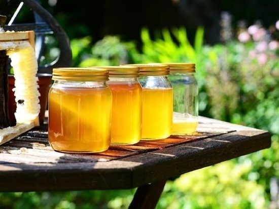 Алтайские ученые рассказали, как выбрать натуральный мед без пестицидов