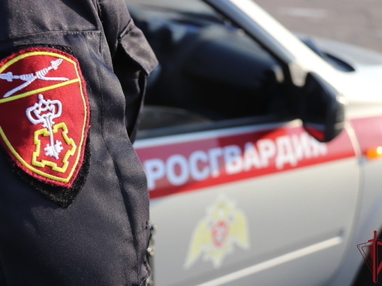 Читинец без прав попытался сбежать на машине от Росгвардии, его поймали