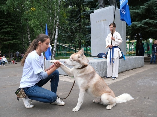 «День фронтовой собаки» пройдет в Йошкар-Оле 20 августа