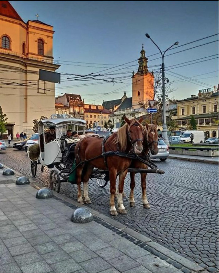 Девушки, тачки и кофеек: повседневная жизнь Львова в фотографиях