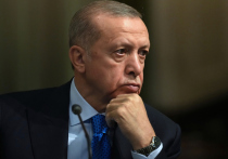 Недавно посетивший Путина в Сочи президент Турции Эрдоган отправился во Львов с миротворческой и посреднической миссией — на встречу с Зеленским и генеральным секретарем ООН