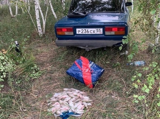 Рыбак из Омской области незаконно выловил сетями пелядь на 100 тысяч рублей