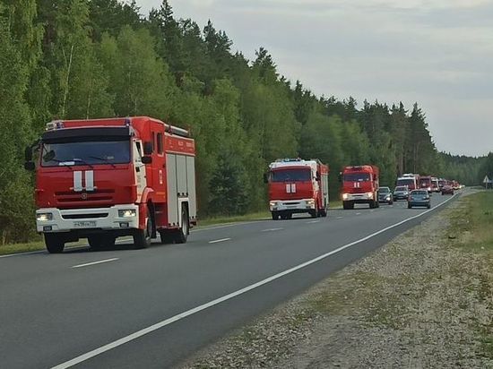 Лесные пожары в Рязанской области тушат более 300 человек