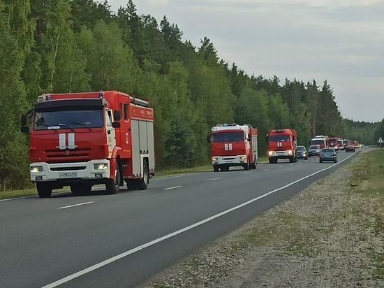 В ликвидации лесных пожаров в Рязанской области задействовано 850 человек