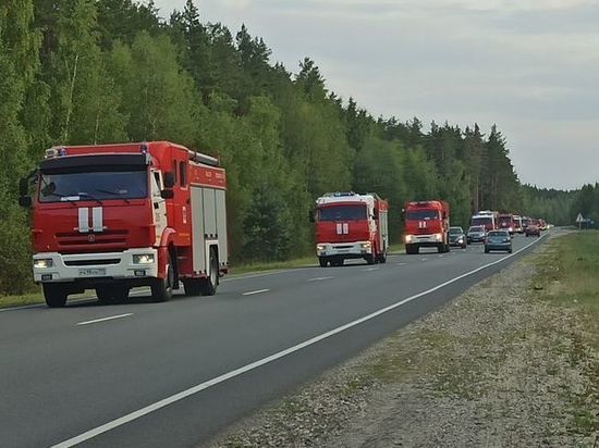 Авиапожарные применят метод встречного отжига в Рязанской области