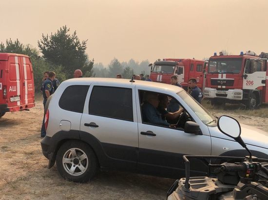 МЧС предупредило о высокой пожарной опасности в Рязанской области до 21 августа