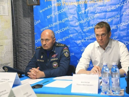 Авиация произвела 50 сбросов воды на горящие леса в Рязанской области