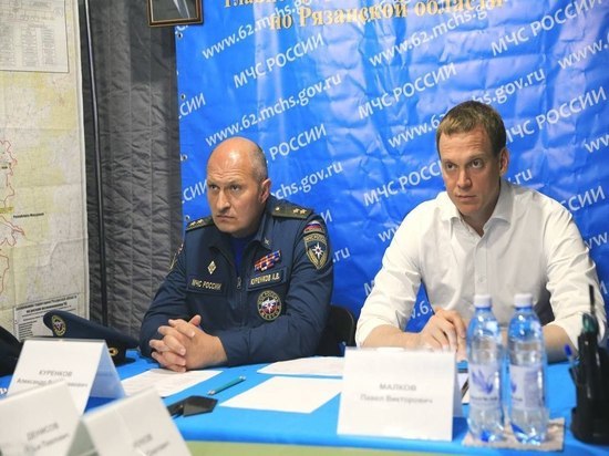 Павел Малков и глава МЧС Александр Куренков обсудили тушение пожаров в Рязанской области