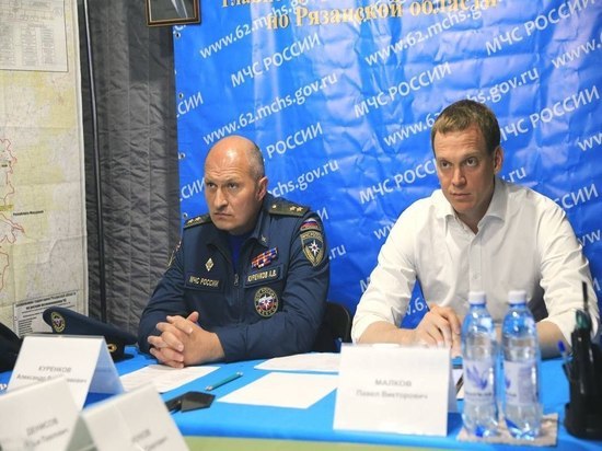 Павел Малков и глава МЧС Александр Куренков обсудили тушение пожаров в Рязанской области