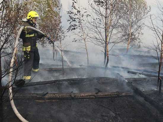 МЧС России возбудило уголовное дело по факту пожара в лесничестве под Рязанью