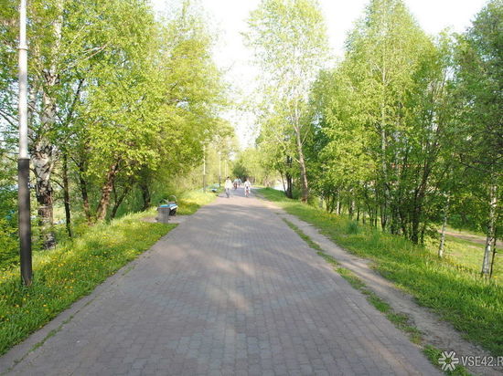 Скоро в Кузбасс вернется теплая ясная погода