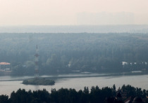 В Рязанской области всеми силами пытаются переломить ситуацию с лесными пожарами