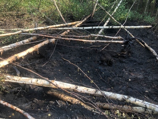 Предприниматель из Вологды лишился имущества, вероятно, в результате поджога