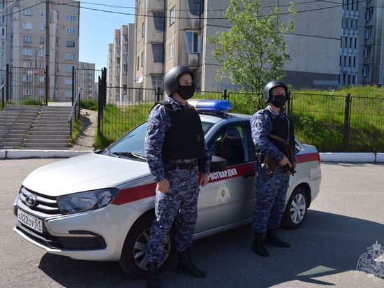 Мурманские росгвардейцы пресекли кражу в гипермаркете