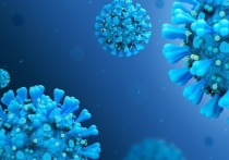 В Забайкалье за прошедшие сутки коронавирус обнаружен у 243 человек