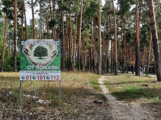 В тамбовских лесах снижен класс пожарной опасности