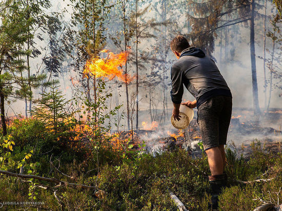 В Карелии возрастает риск возникновения лесных пожаров