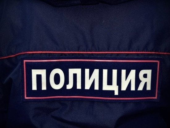 Челябинских полицейских заподозрили в вырубке реликтовых сосен
