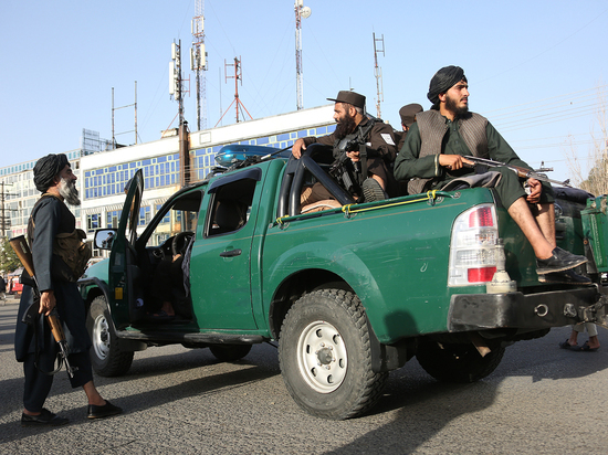 Талибы предложили "дружественной стране" России изюм в обмен на бензин