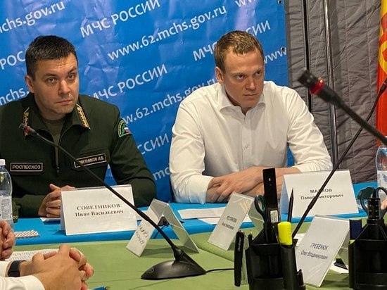 Малков обратился к рязанцам в связи ухудшением ситуации с лесными пожарами