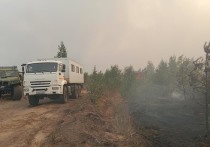 Ситуация с лесными пожарами в Рязанской области остается напряженной