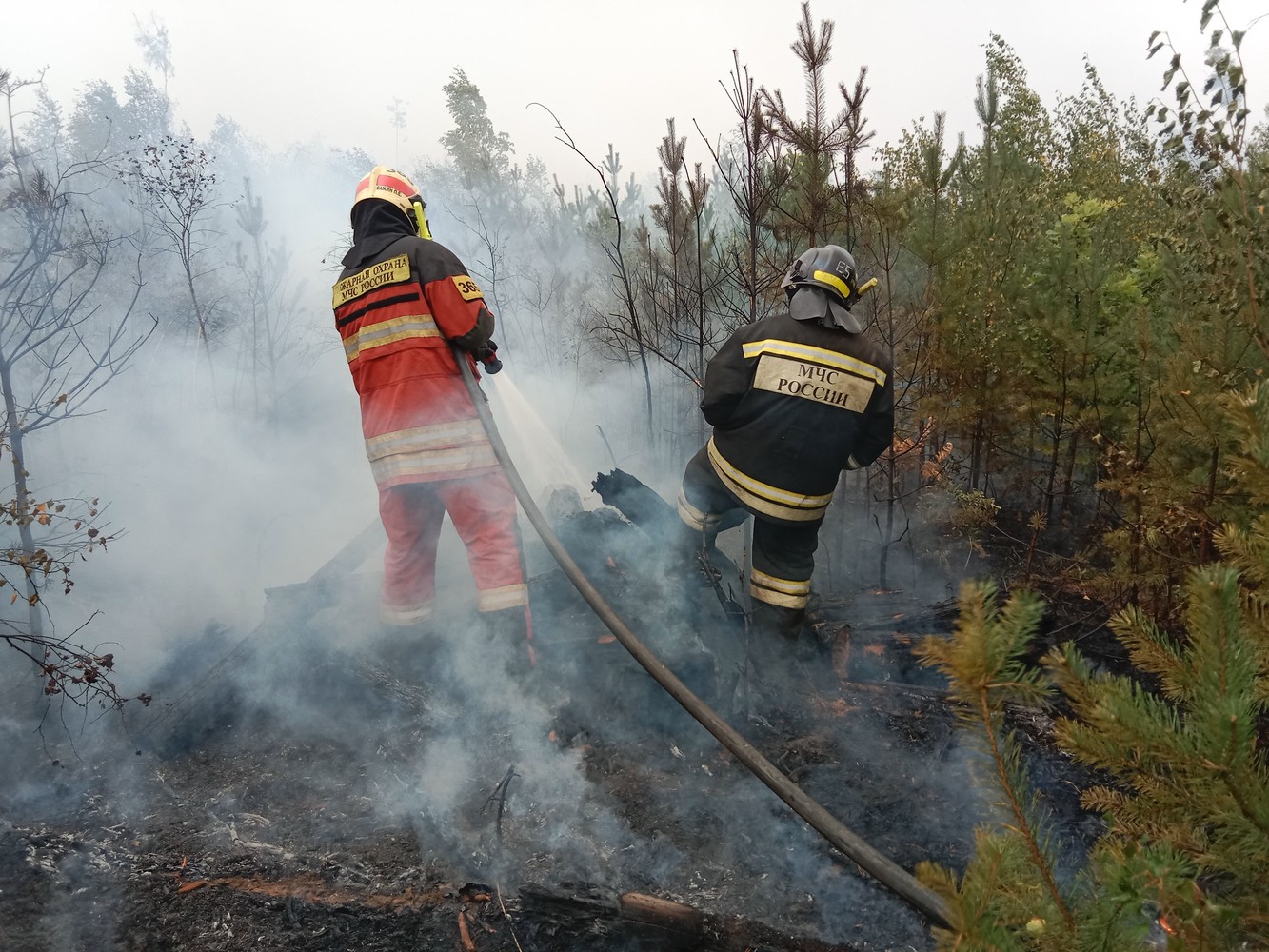 Как тушат лесные пожары в Рязани: кадры с места событий