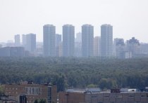 В Москве и Московской области, начиная с этих выходных и вплоть до начала следующих, ожидается возрастание класса пожарной опасности до самого высшего 5-го уровня