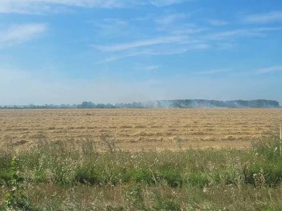 В Касимовском районе Рязанской области загорелось поле