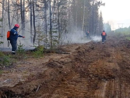 На территории Якутии действуют 13 лесных пожаров