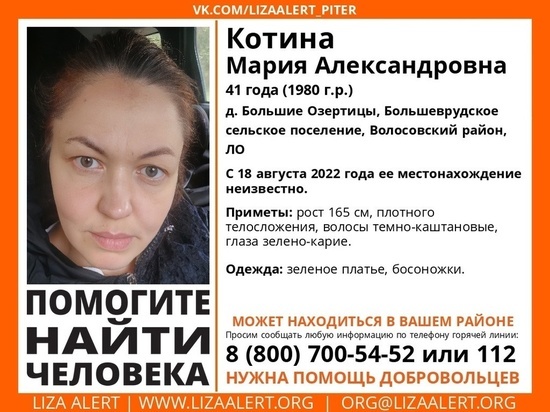 Пропавшую в Волосовском районе женщину ищут второй день