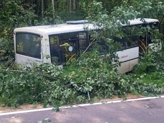 Прокуратура организовала проверку после ДТП с автобусом в Бокситогорском районе