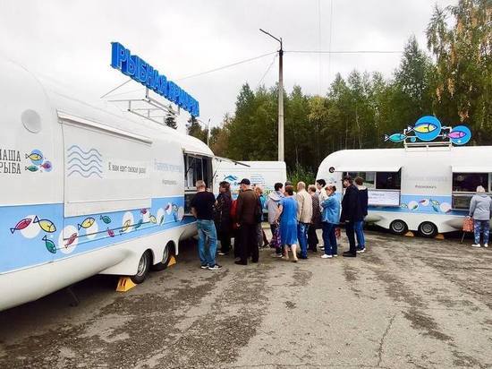 Рыбная ярмарка раскинулась в Мурманске, Ковдоре и Енском