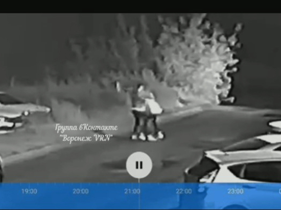 В Воронеже видеокамеры зафиксировали момент ограбления девушки на ул. Шишкова