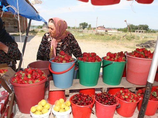 Сельхозпредприятия Дагестана получат кредиты по льготной ставке